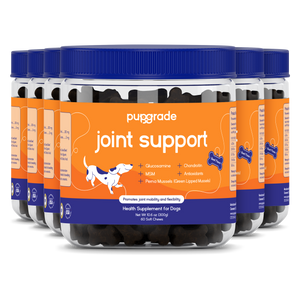 Joint Support