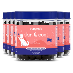 Skin & Coat Support
