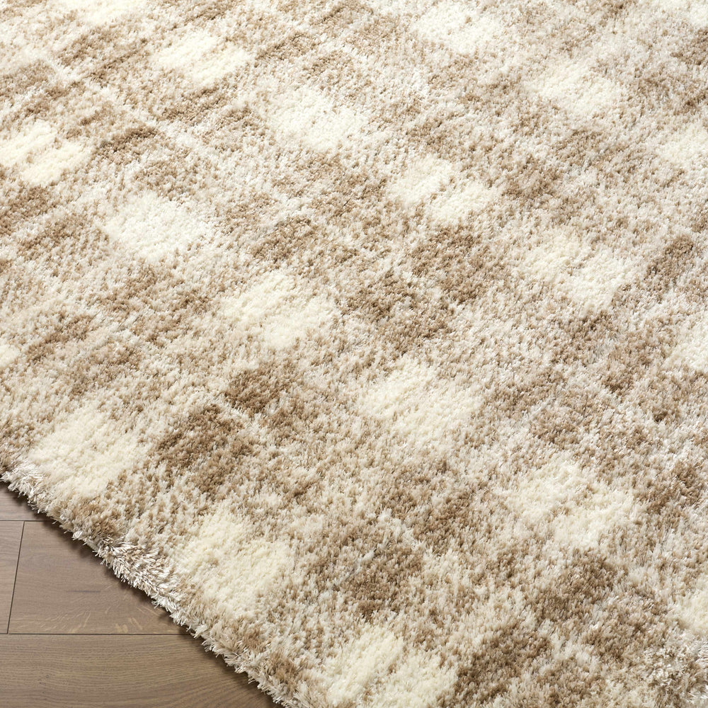 Anfisa Beige Luxe Shag Area Rug