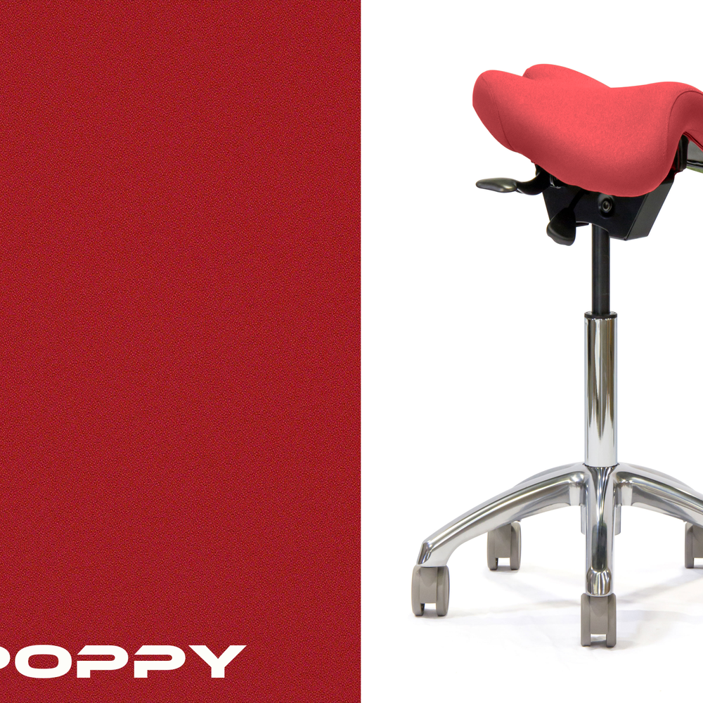 Advanced Saddle