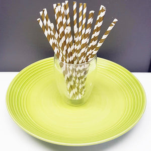 [PS1X100] paper straws