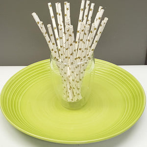 [PS1X100] paper straws