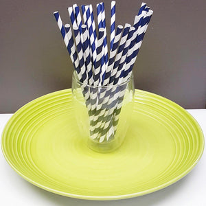 [PS1X100] paper straws