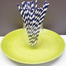 [PS1X100] paper straws