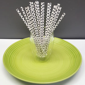 [PS1X100] paper straws