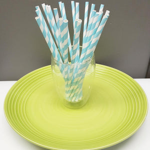 [PS21X100] paper straws ii