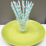 [PS21X100] paper straws ii
