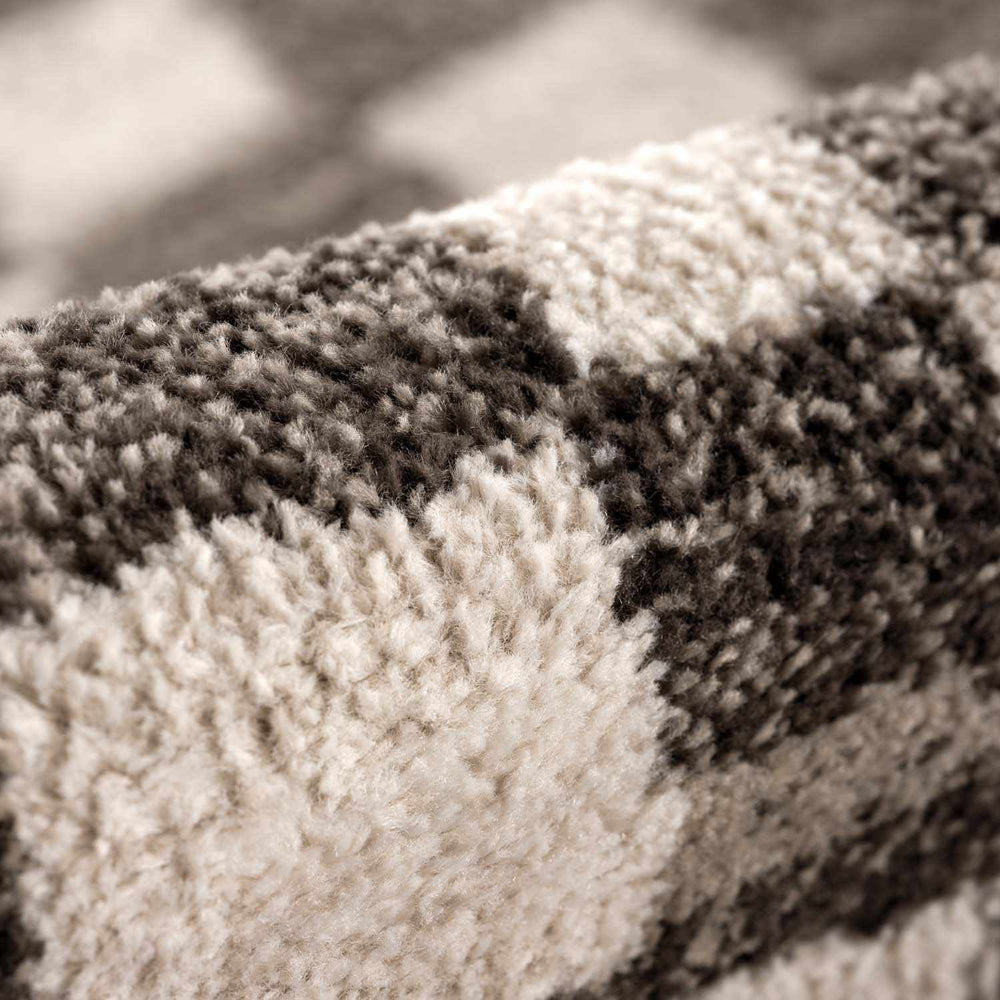 Benjy Cream & Charcoal Checkered Area Rug