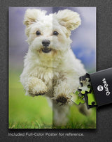 QuizQuirk 1000 Piece Puzzle, Jumping Dog Jigsaw Puzzle for Adults/Teens (Puzzle Saver Kit Included)