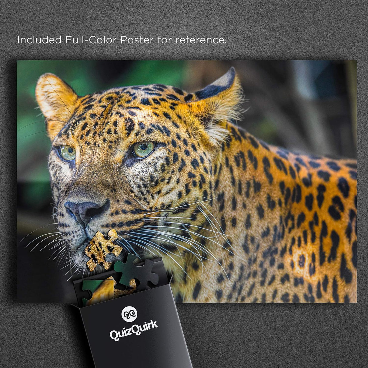 QuizQuirk 1000 Piece Puzzle, Bold Leopard Jigsaw Puzzle for Adults/Teens (Puzzle Saver Kit Included)