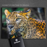 QuizQuirk 1000 Piece Puzzle, Bold Leopard Jigsaw Puzzle for Adults/Teens (Puzzle Saver Kit Included)