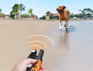 NovaPace Remote Dog Training Collar 1000m Waterproof Rechargeable