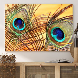 Peacock Feather Wall Art Print - Vibrant Green, Blue, and