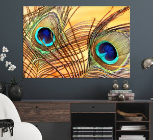 Peacock Feather Wall Art Print - Vibrant Green, Blue, and