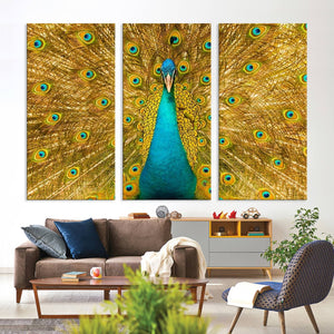Peacock Wall Art Canvas Print