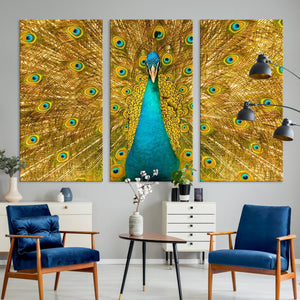 Peacock Wall Art Canvas Print