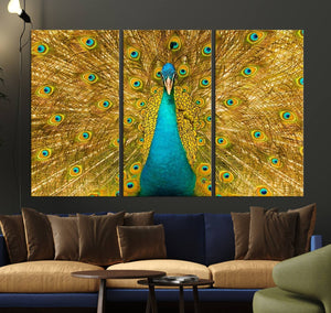 Peacock Wall Art Canvas Print