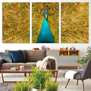 Peacock Wall Art Canvas Print