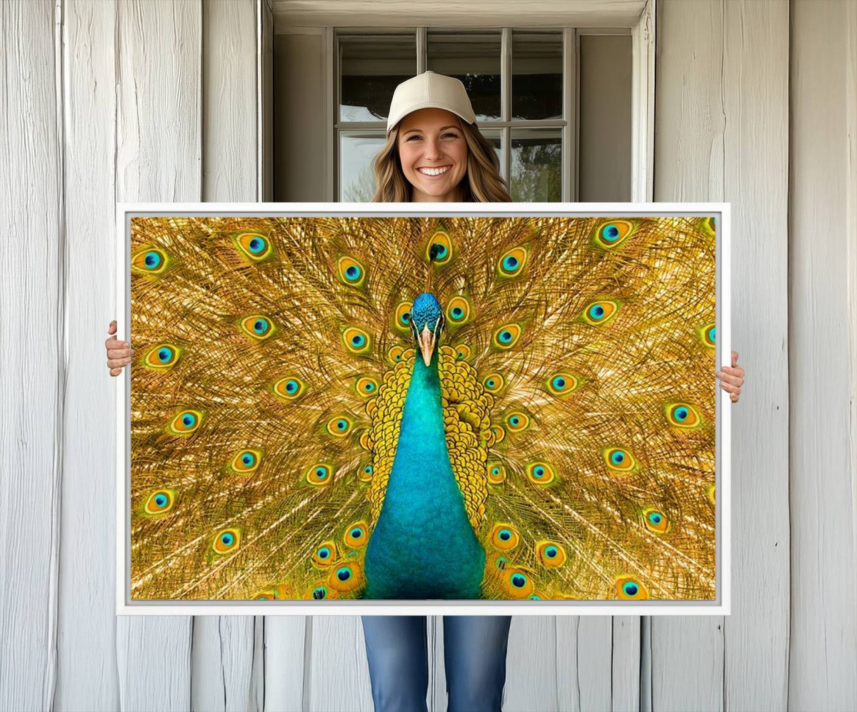 Peacock Wall Art Canvas Print