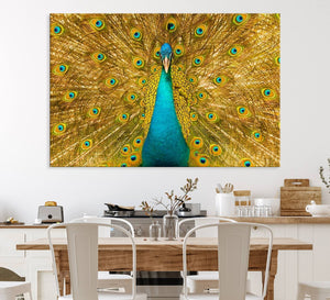 Peacock Wall Art Canvas Print
