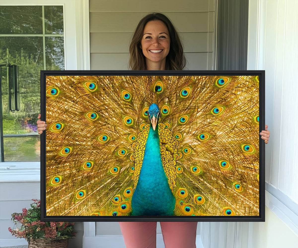 Peacock Wall Art Canvas Print