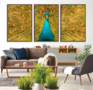 Peacock Wall Art Canvas Print
