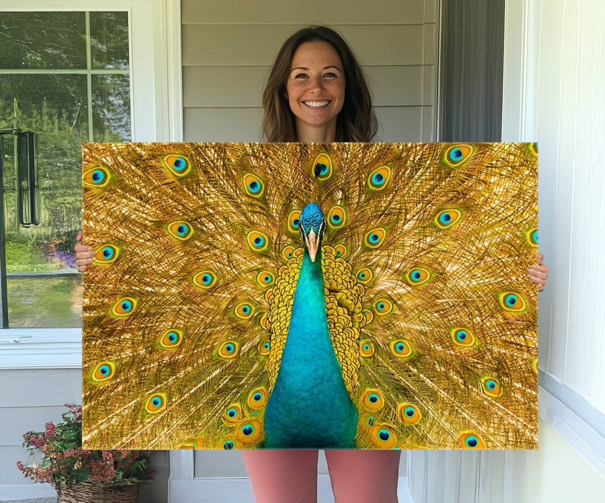 Peacock Wall Art Canvas Print
