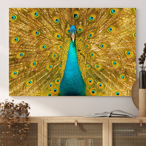 Peacock Wall Art Canvas Print