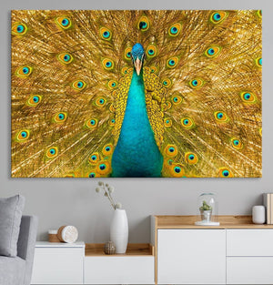 Peacock Wall Art Canvas Print