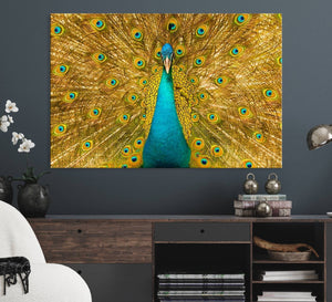 Peacock Wall Art Canvas Print