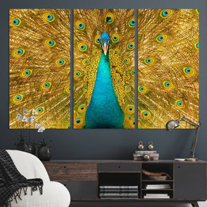 Peacock Wall Art Canvas Print