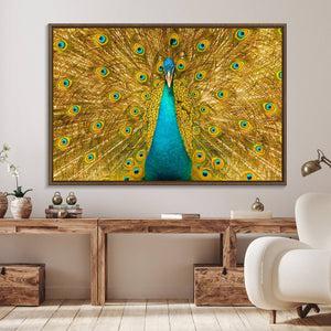 Peacock Wall Art Canvas Print
