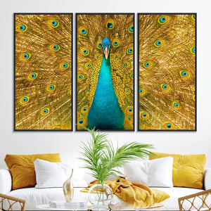 Peacock Wall Art Canvas Print