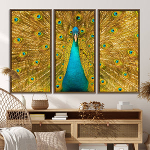Peacock Wall Art Canvas Print
