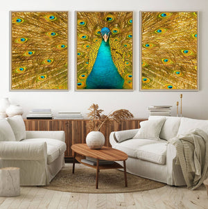 Peacock Wall Art Canvas Print