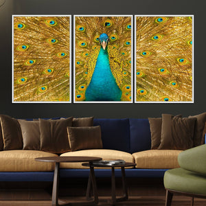 Peacock Wall Art Canvas Print
