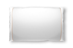 Champagne Silk Pillow Sleeve