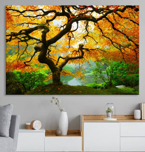Portland Japanese Maple Tree Canvas Wall Art – Japanese