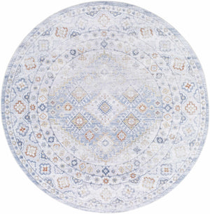 Agaton Blue Washable Area Rug