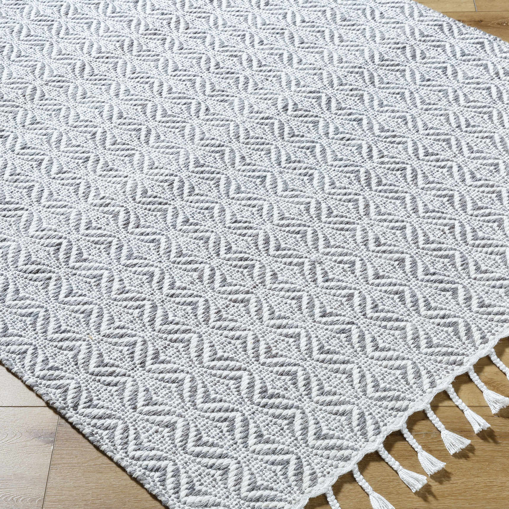 Anelia Medium Gray Area Rug - Clearance