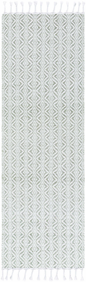 Anelia Sage Area Rug - Clearance