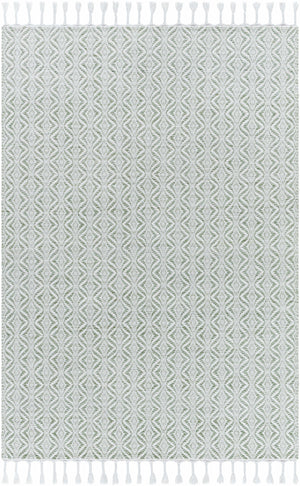 Anelia Sage Area Rug - Clearance