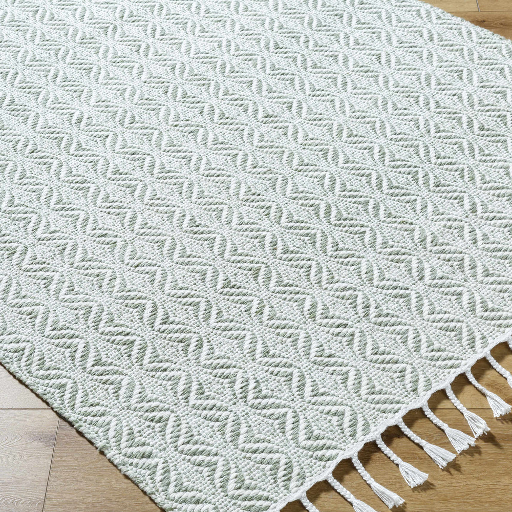 Anelia Sage Area Rug - Clearance