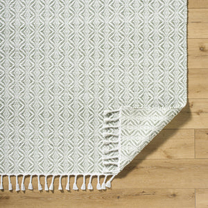 Anelia Sage Area Rug - Clearance