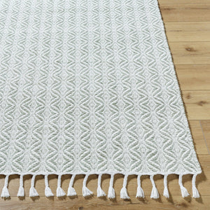 Anelia Sage Area Rug - Clearance