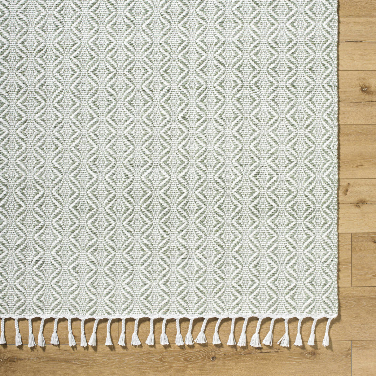 Anelia Sage Area Rug - Clearance