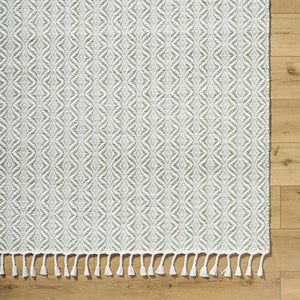 Anelia Sage Area Rug - Clearance