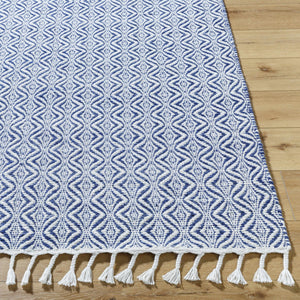 Anelia Indigo Area Rug - Clearance