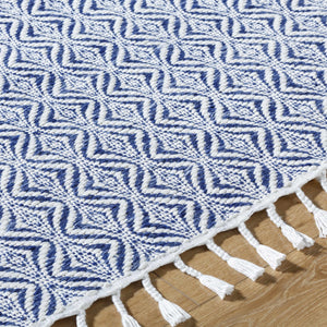 Anelia Indigo Area Rug - Clearance