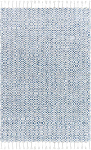 Anelia Sky Blue Area Rug - Clearance